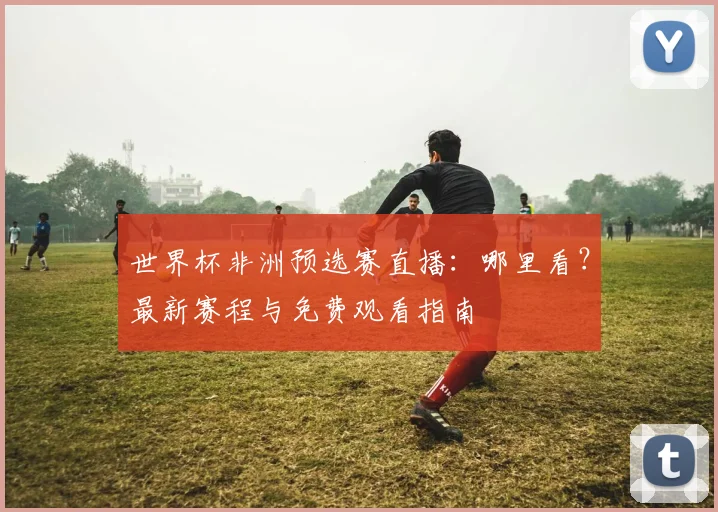 世界杯非洲预选赛直播：哪里看？最新赛程与免费观看指南