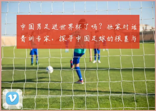 中国男足进世界杯了吗？独家对话青训专家，探寻中国足球的根基与未来