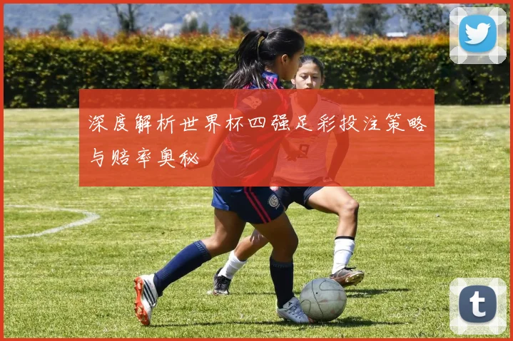 深度解析世界杯四强足彩投注策略与赔率奥秘