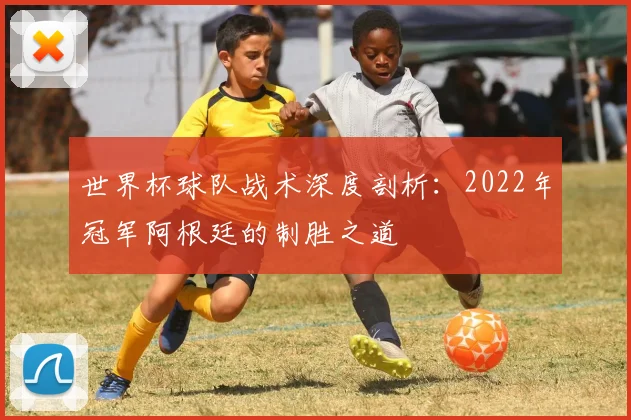 世界杯球队战术深度剖析：2022年冠军阿根廷的制胜之道
