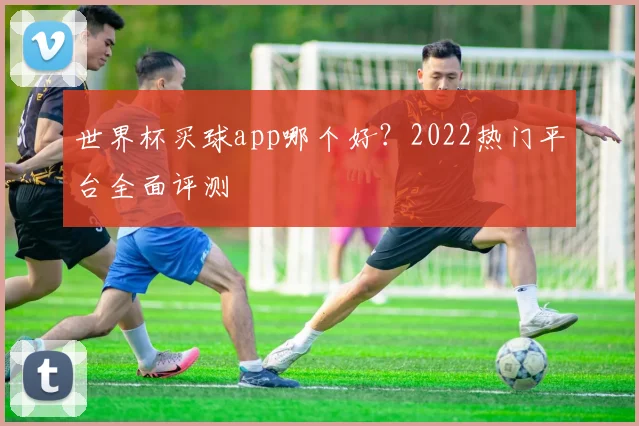 世界杯买球app哪个好？2022热门平台全面评测