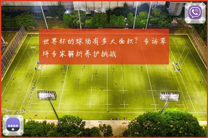 世界杯的球场有多大面积？专访草坪专家解析养护挑战