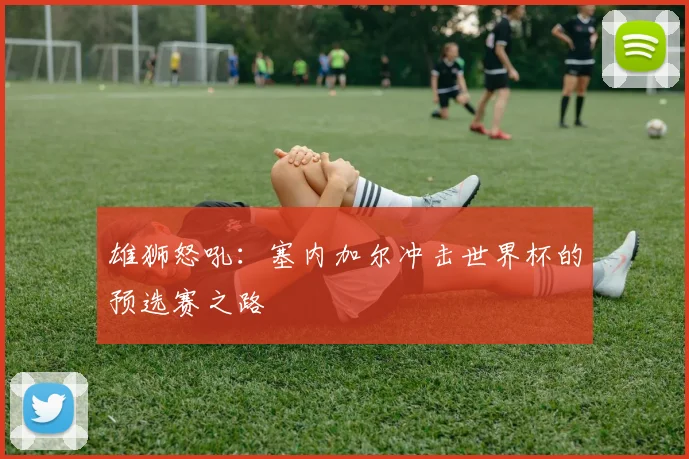 雄狮怒吼：塞内加尔冲击世界杯的预选赛之路