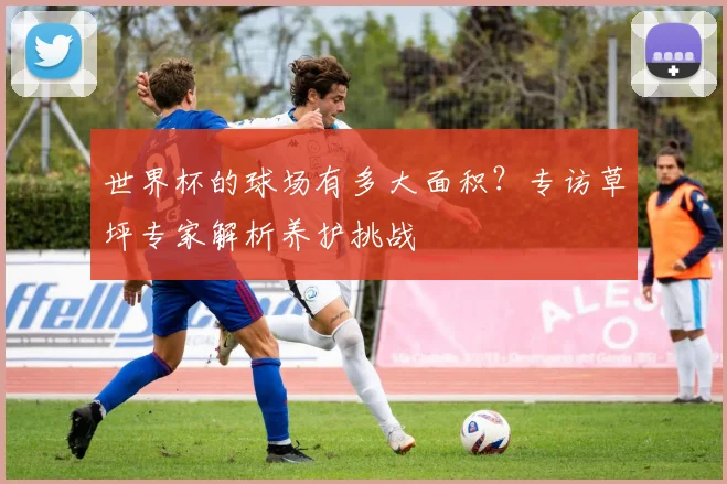 世界杯的球场有多大面积？专访草坪专家解析养护挑战
