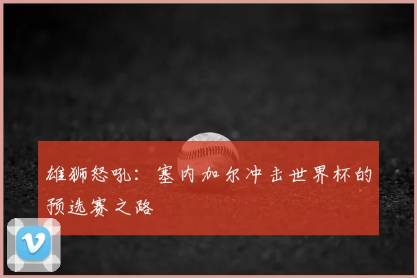 雄狮怒吼：塞内加尔冲击世界杯的预选赛之路