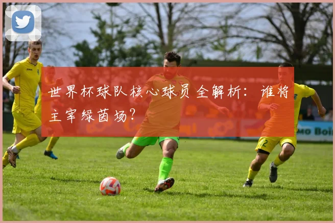 世界杯球队核心球员全解析：谁将主宰绿茵场？