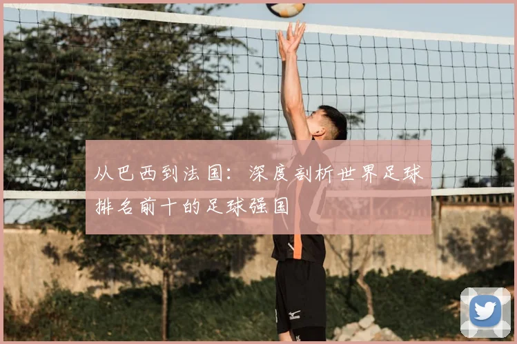 从巴西到法国：深度剖析世界足球排名前十的足球强国