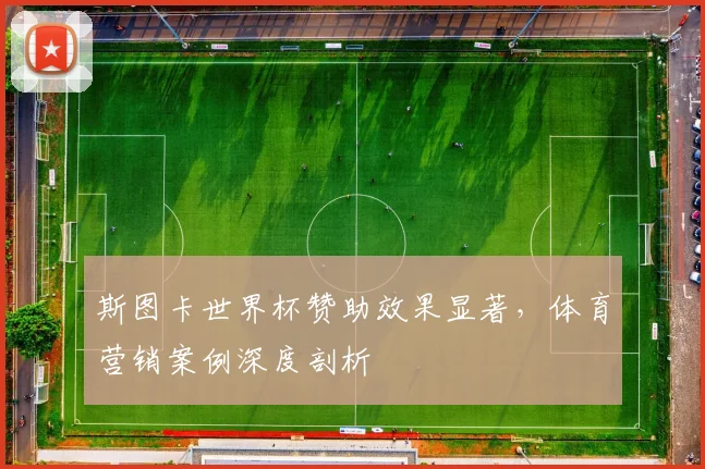 斯图卡世界杯赞助效果显著,体育营销案例深度剖析