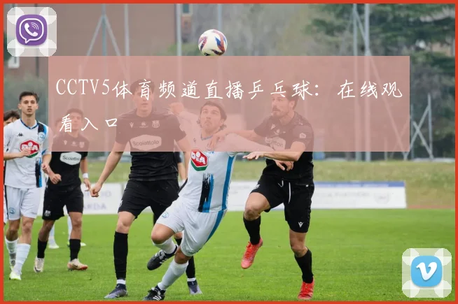 CCTV5体育频道直播乒乓球：在线观看入口